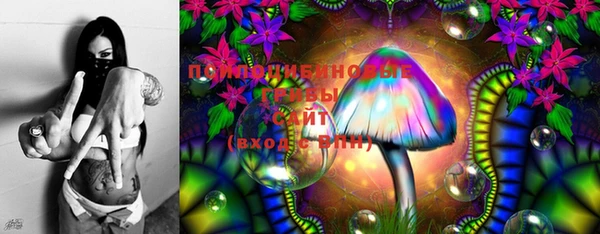 эйфоретик Лихославль